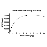 Kras Q61R–cRAF Binding Assay Kit